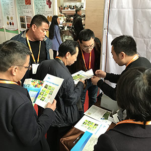 China Potato Expo de 2017